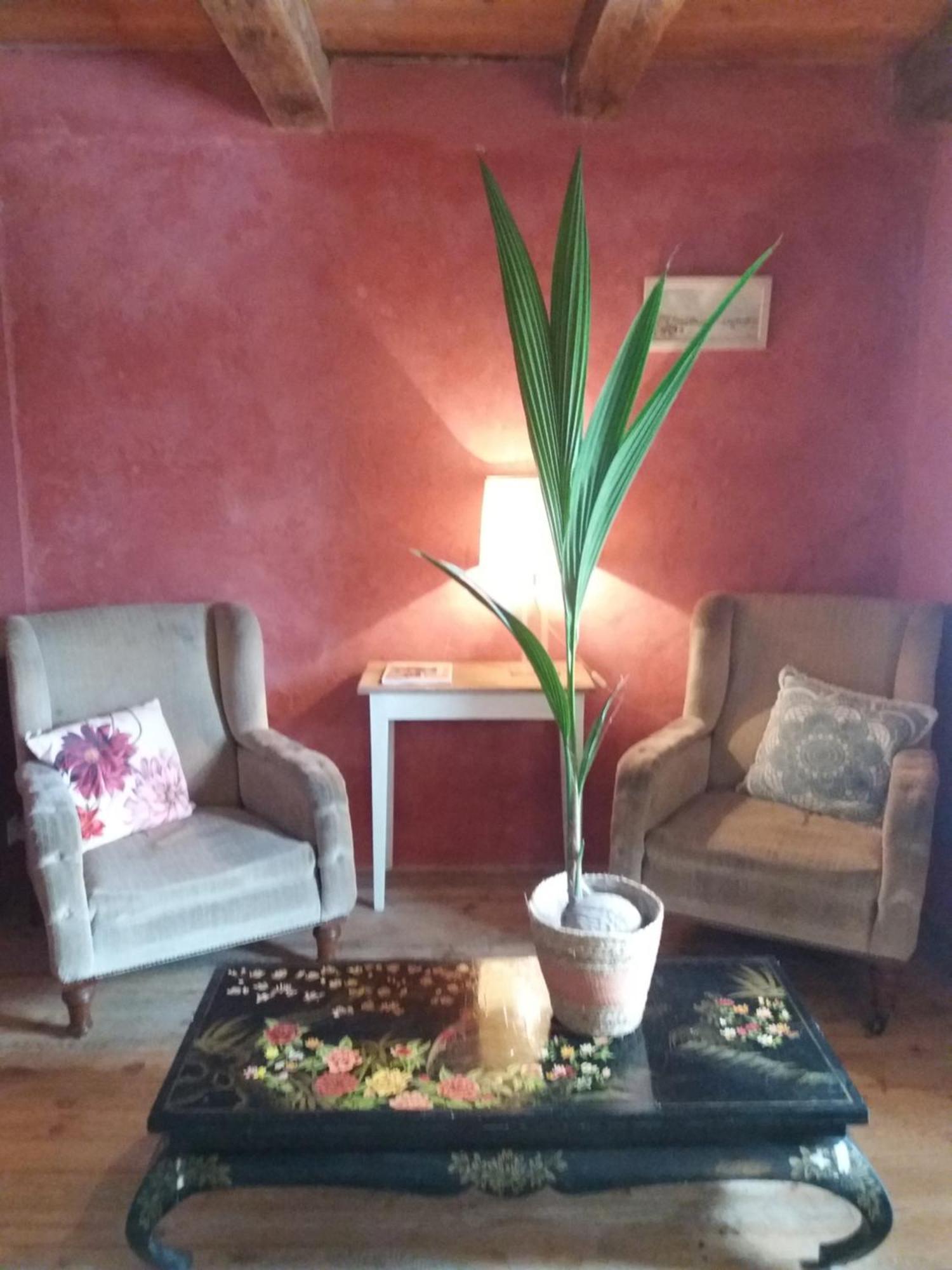 Hotel Domaine d'Angel-Berg Vezins-de-Levezou Zimmer foto